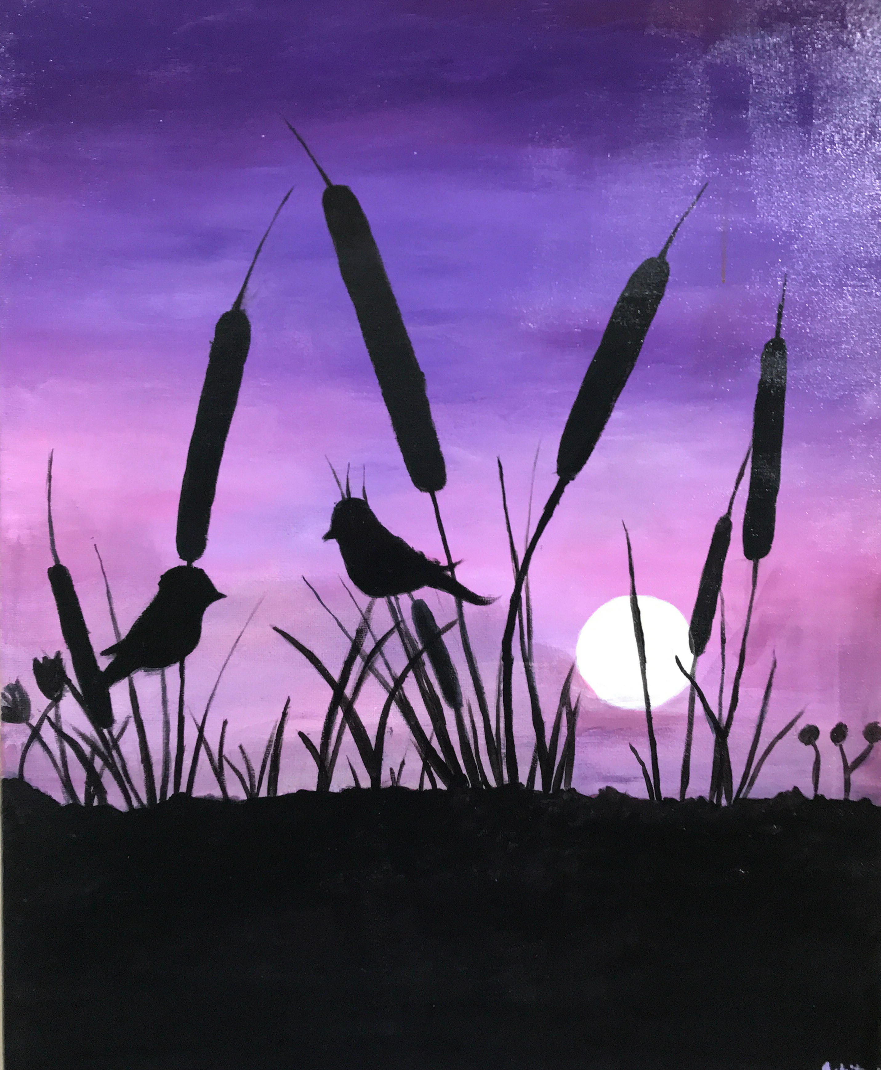Night Sky - Birds